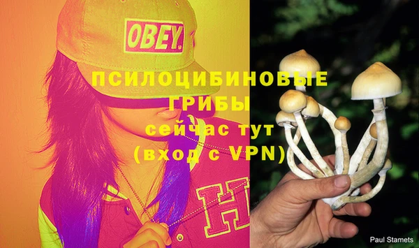 прущая мука Алексеевка