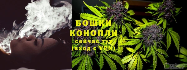 шишки Абаза