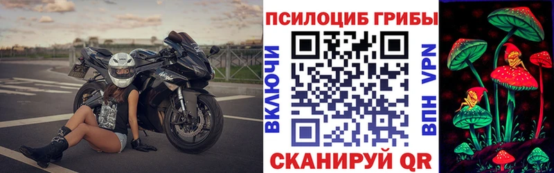 Псилоцибиновые грибы Psilocybine cubensis Бирюч