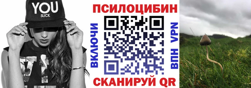 цены наркотик  Бирюч  Псилоцибиновые грибы Psilocybe 